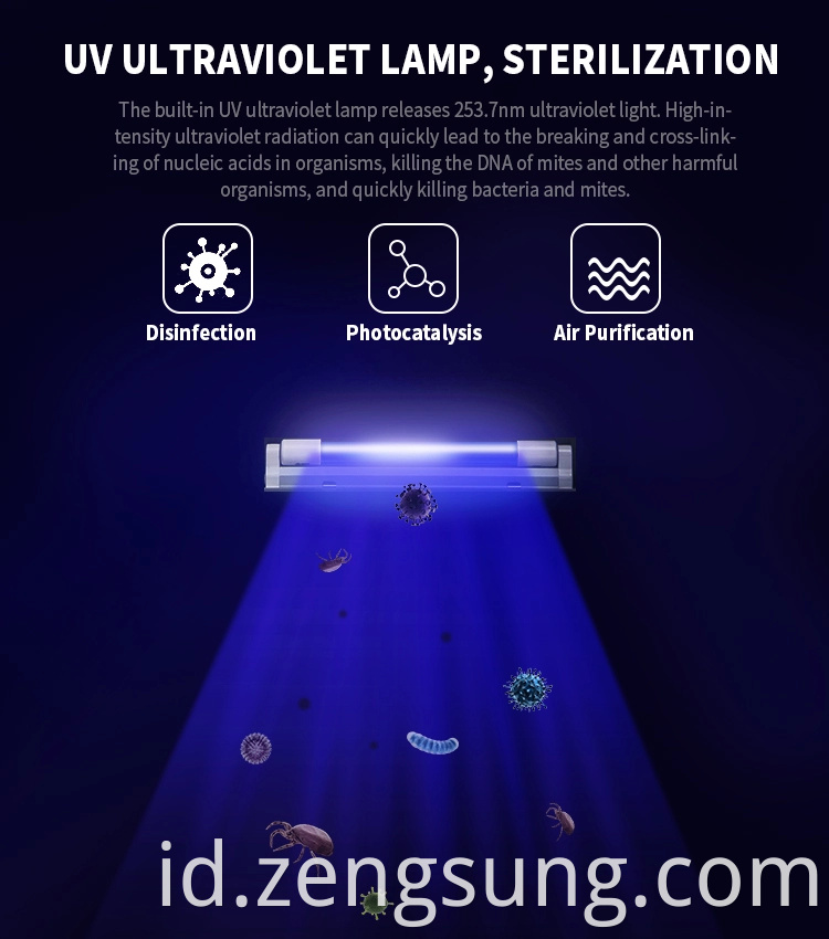 UV Lamp